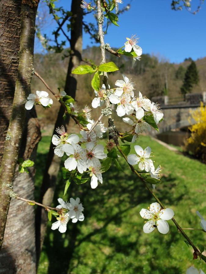 Cent Trente Bed and Breakfast Durbuy Exterior foto